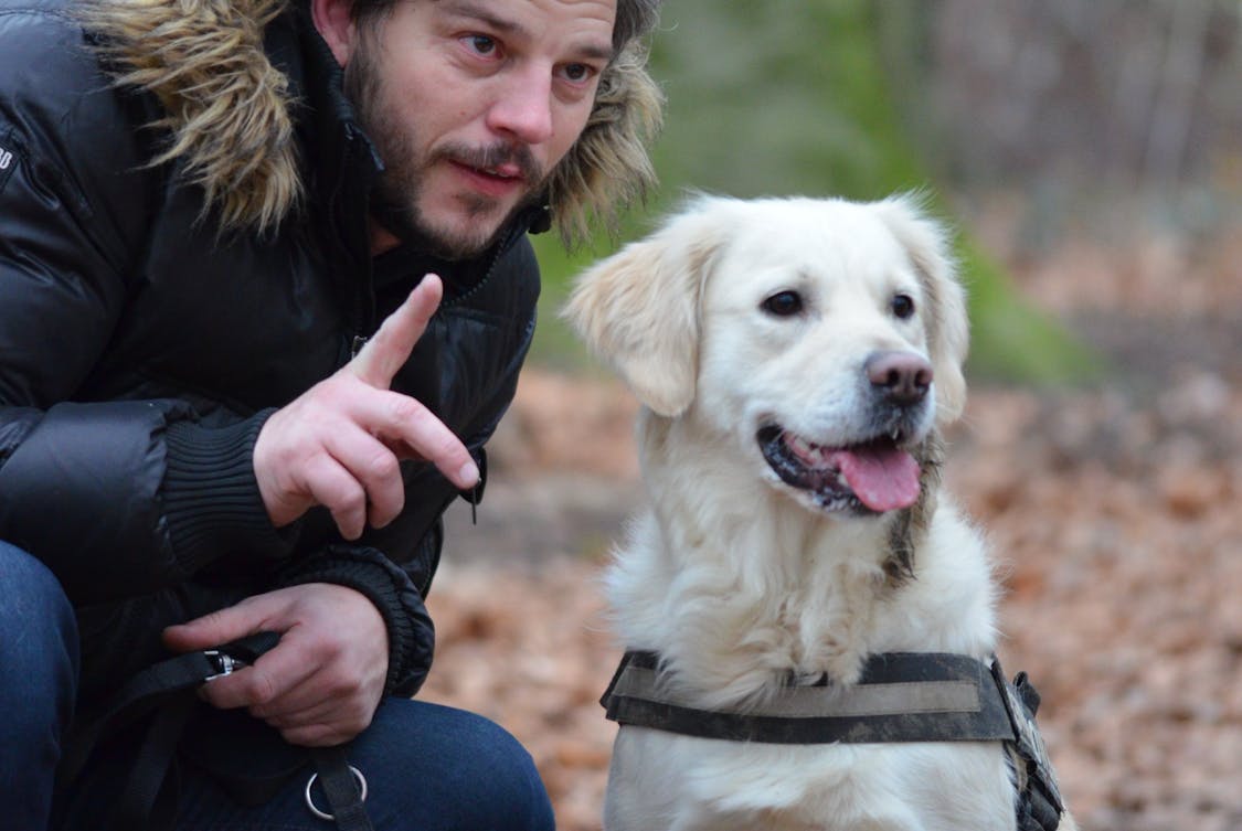 a man holding a dog on leash - Understanding the Unique Personality of Pet Dogs
