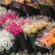 flowers on display 110x110 - Is It Better to Buy Bouquets Online or In-Store? Explained
