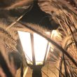 A close up of an illuminated lantern surrounded by plants 110x110 - Curious About Outdoor Lighting? Discover Easy Tricks